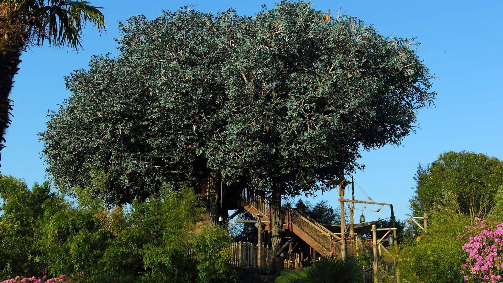 Cabane des robinsons disneyland
