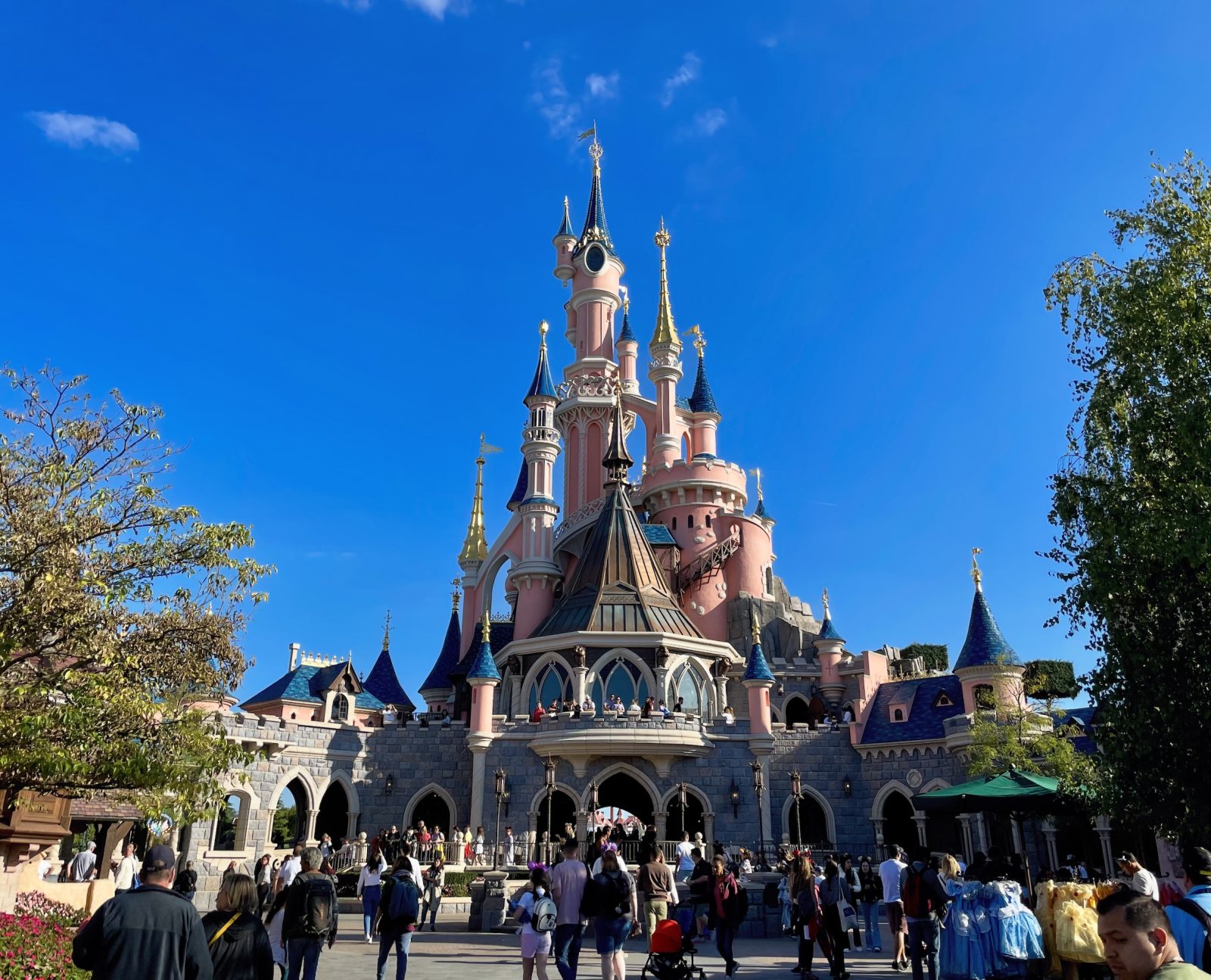 Chateau disneyland paris vu de dos arcades