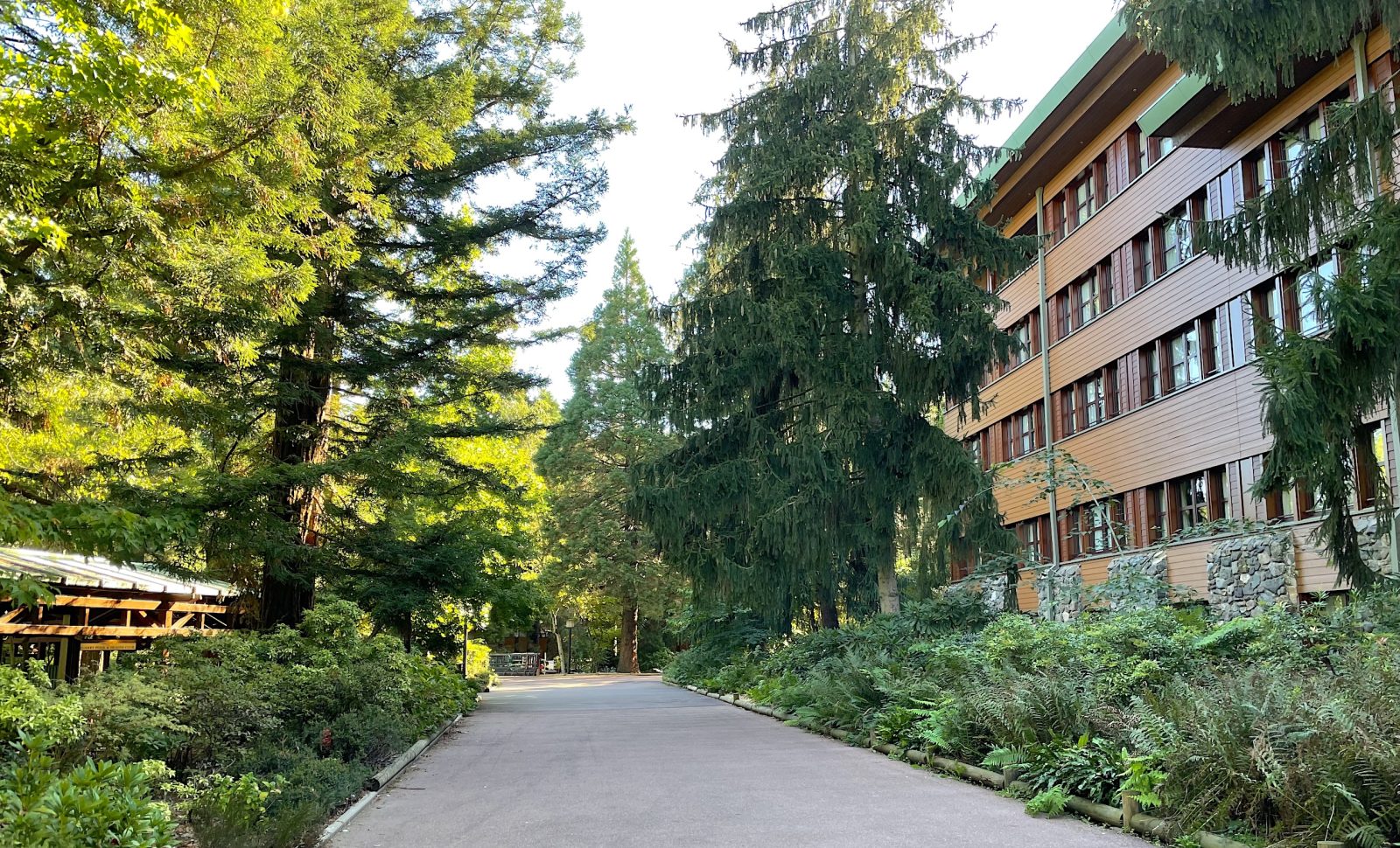 Foret sequoia lodge hotel disney