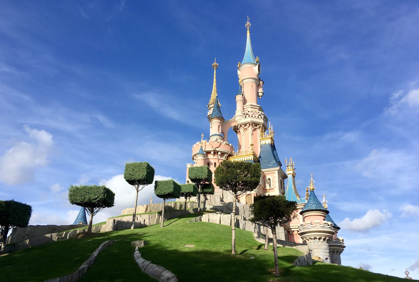 Les arbres carres autour chateau disneyland